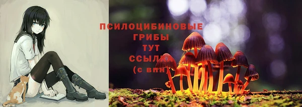 a pvp Абдулино