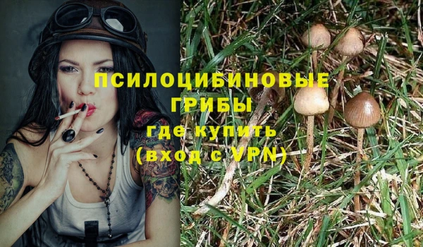 a pvp Абдулино