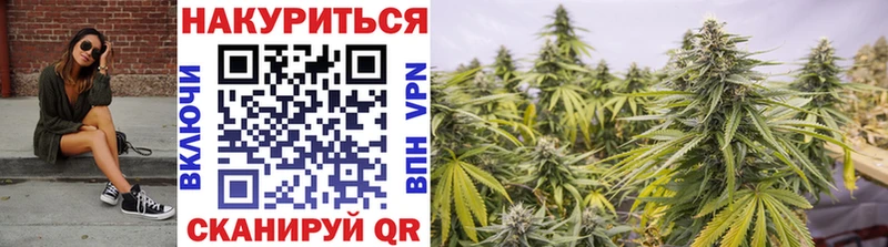 купить закладку Курск МАРИХУАНА план